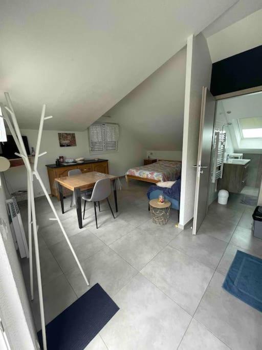 Studio Tout Equipe Aux Pieds Des Vosges Leimbach Εξωτερικό φωτογραφία