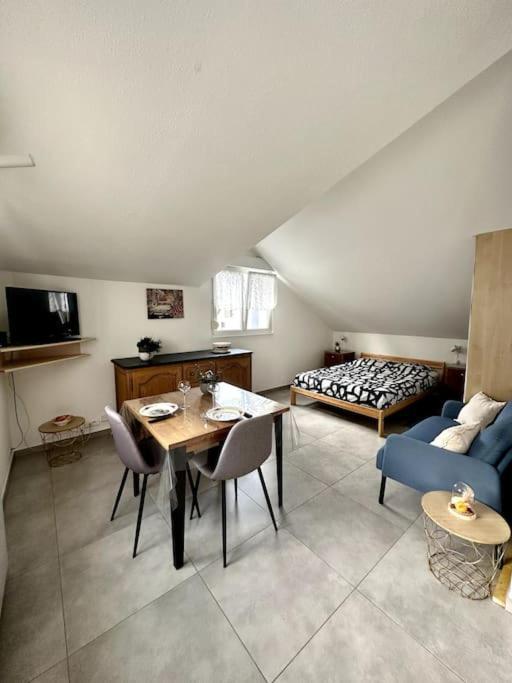 Studio Tout Equipe Aux Pieds Des Vosges Leimbach Εξωτερικό φωτογραφία